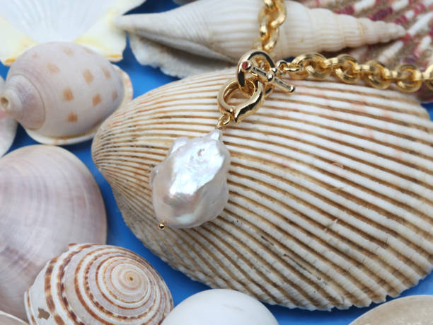 gold seashell necklace